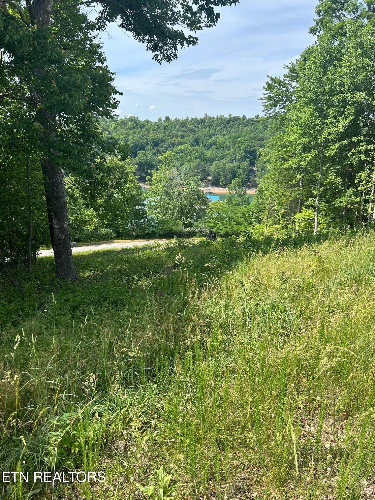 Norris Lake Real Estate - Image# 8