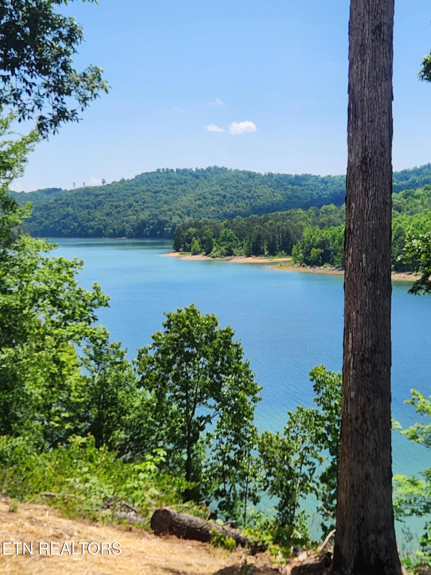 155 Island Rd, New Tazewell, TN - Norris Lake Real Estate - Image# 3