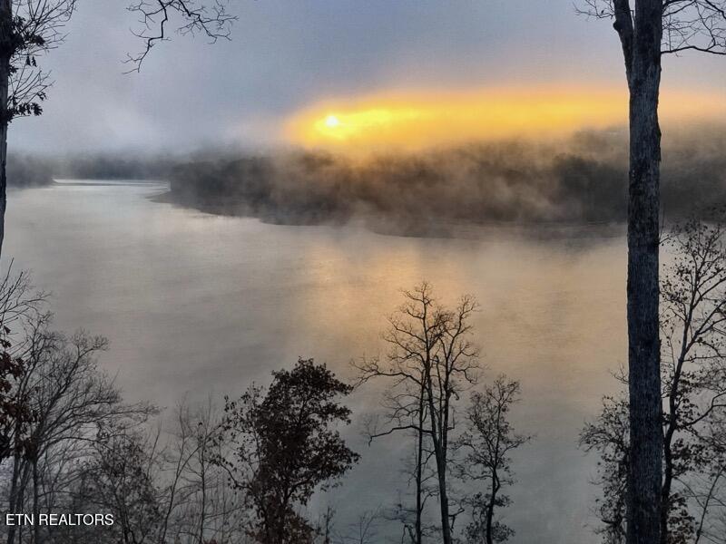 155 Island Rd, New Tazewell, TN - Norris Lake Real Estate - Image# 11
