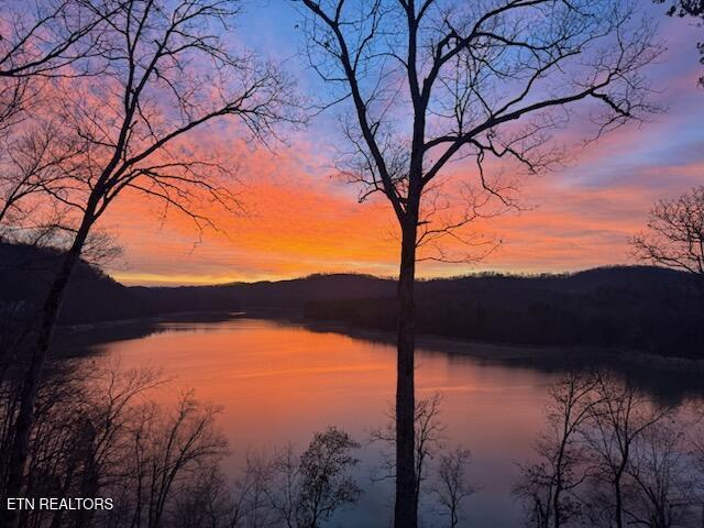 155 Island Rd, New Tazewell, TN - Norris Lake Real Estate - Image# 4