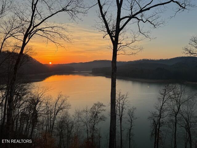 155 Island Rd, New Tazewell, TN - Norris Lake Real Estate - Image# 10