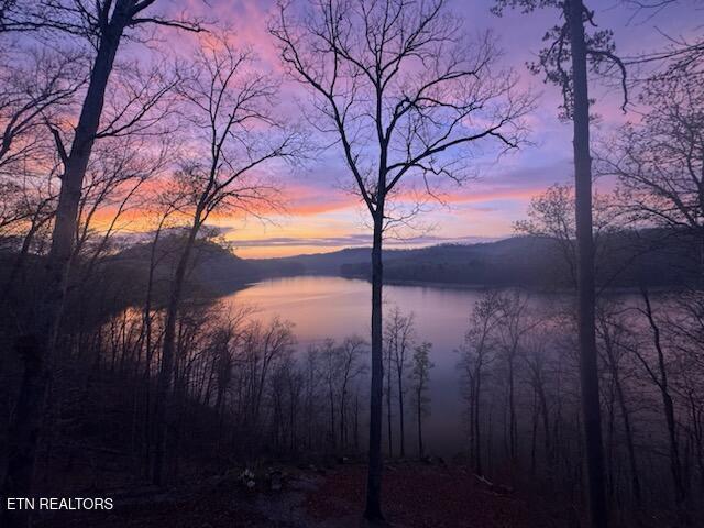 155 Island Rd, New Tazewell, TN - Norris Lake Real Estate - Image# 8