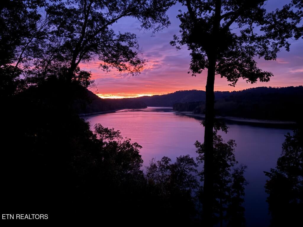 155 Island Rd, New Tazewell, TN - Norris Lake Real Estate - Image# 40