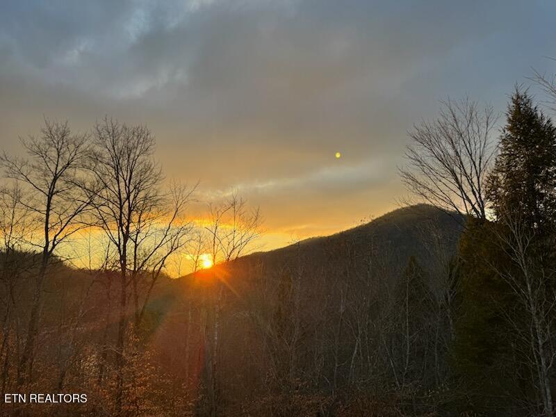155 Island Rd, New Tazewell, TN - Norris Lake Real Estate - Image# 9