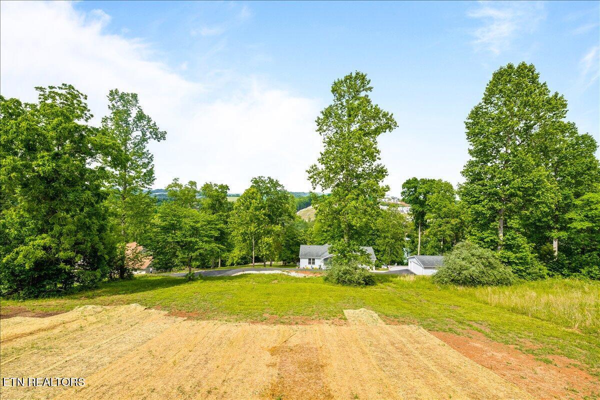 258 Sam Maria Way, Lafollette, TN - Norris Lake Real Estate - Image# 58