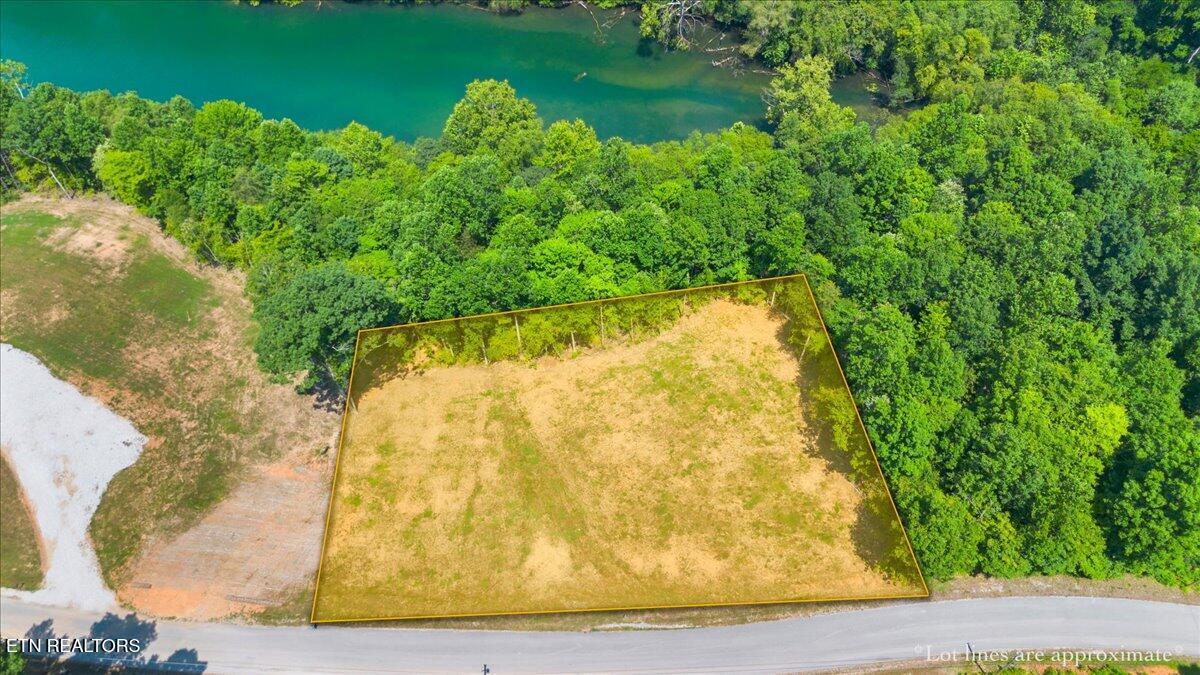 Norris Lake Real Estate - Image# 1