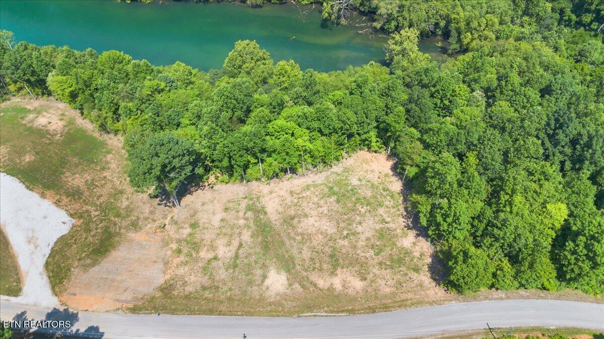Norris Lake Real Estate - Image# 6