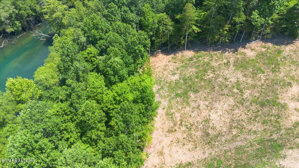Norris Lake Real Estate - Image# 8