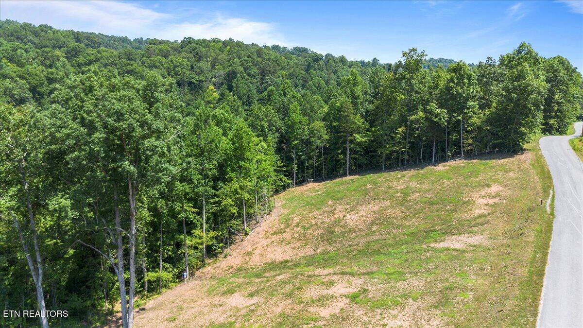 Norris Lake Real Estate - Image# 3