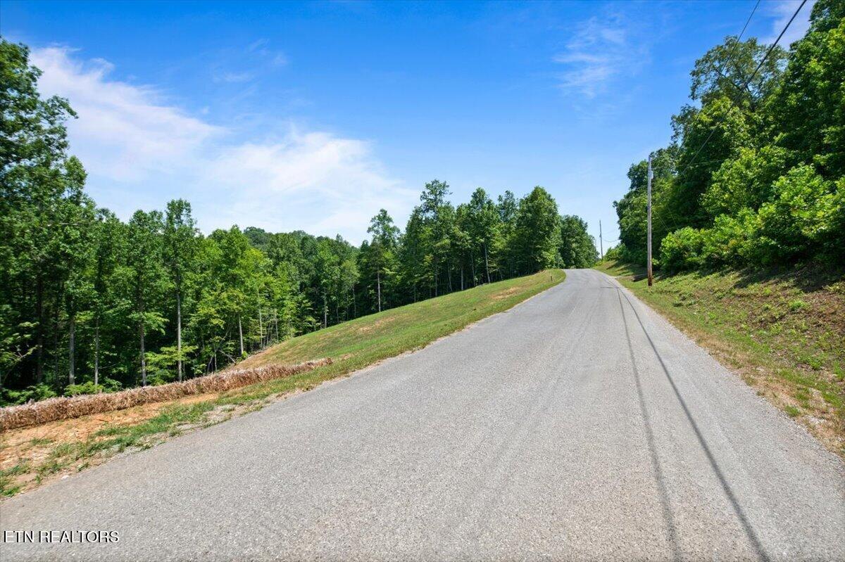 Norris Lake Real Estate - Image# 9