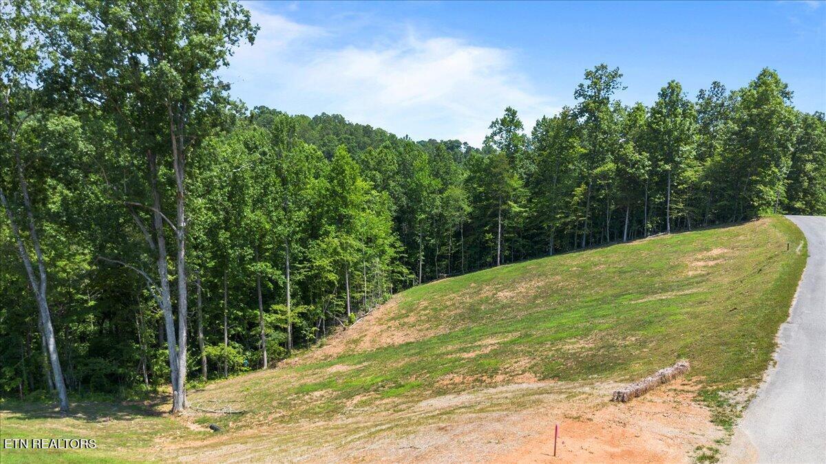 Norris Lake Real Estate - Image# 10