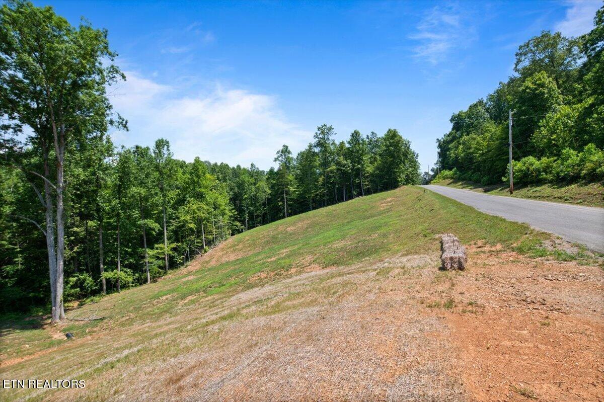Norris Lake Real Estate - Image# 2