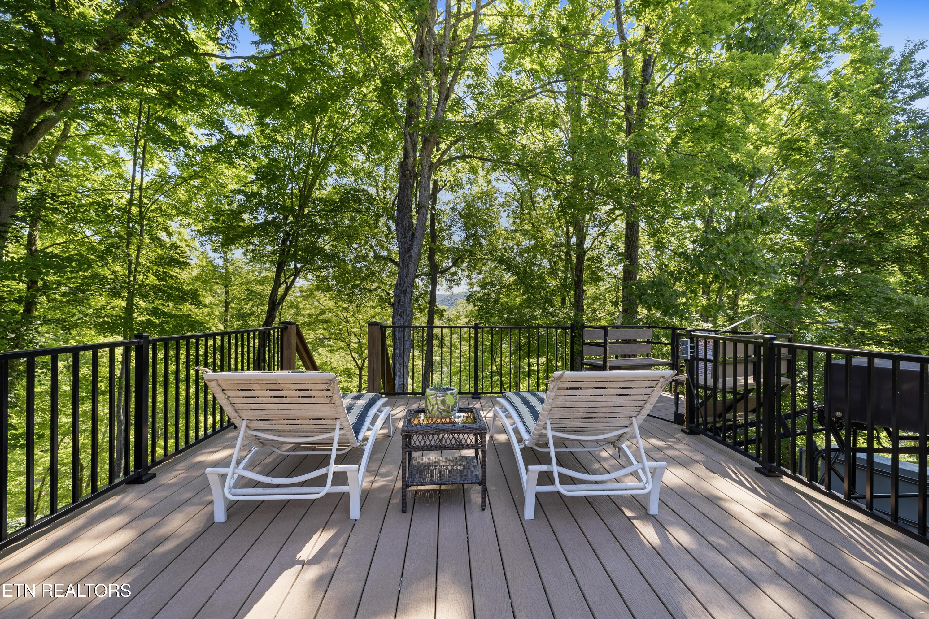 127 Ridgeland Lane, Sharps Chapel, TN - Norris Lake Real Estate - Image# 42