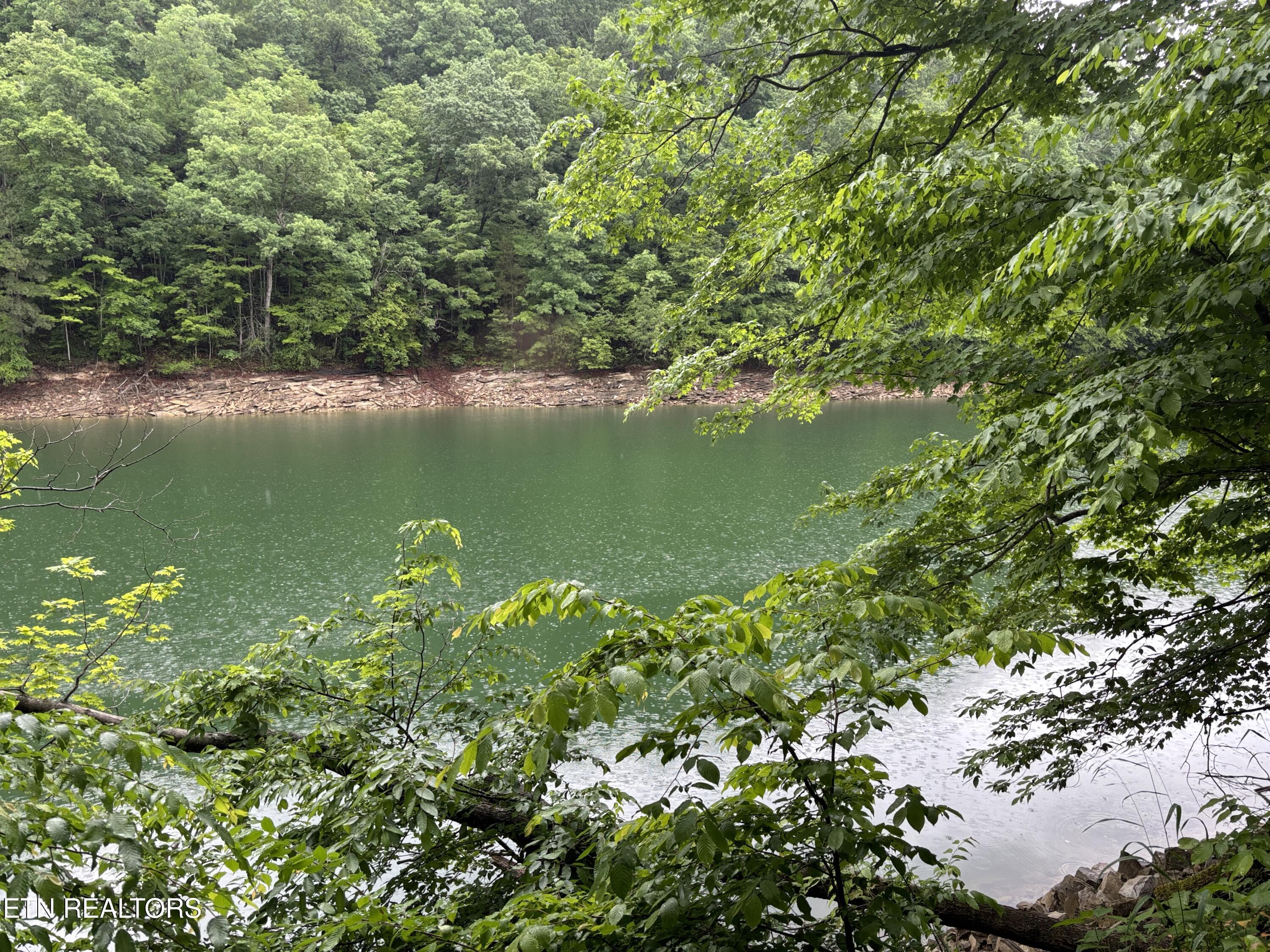Norris Lake Real Estate - Image# 10