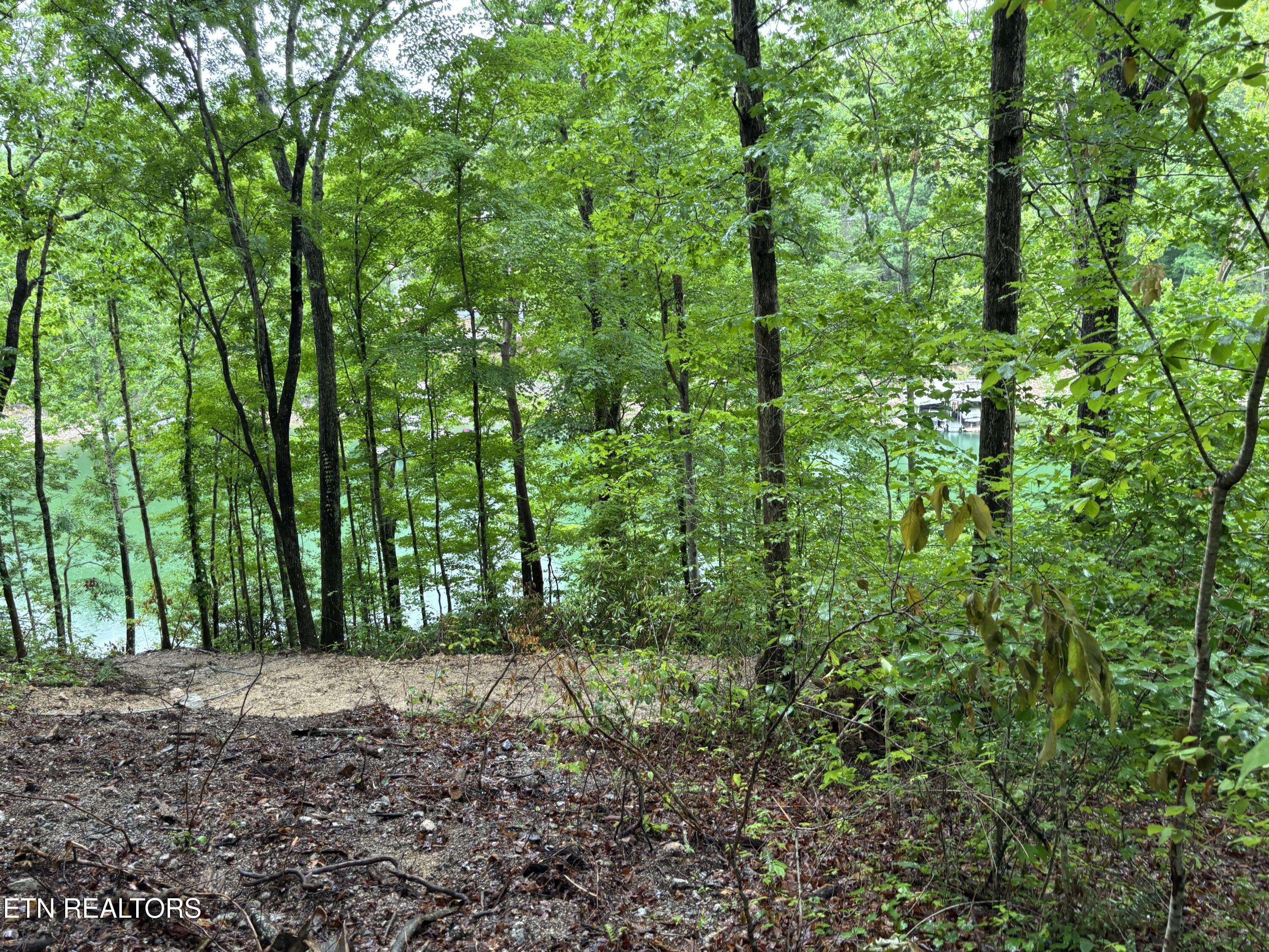 Norris Lake Real Estate - Image# 8
