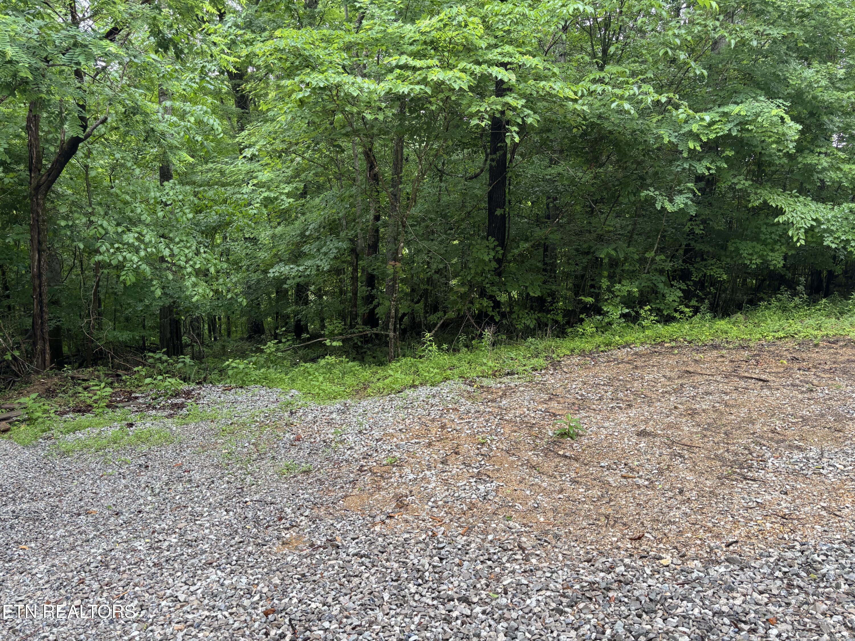 Norris Lake Real Estate - Image# 5