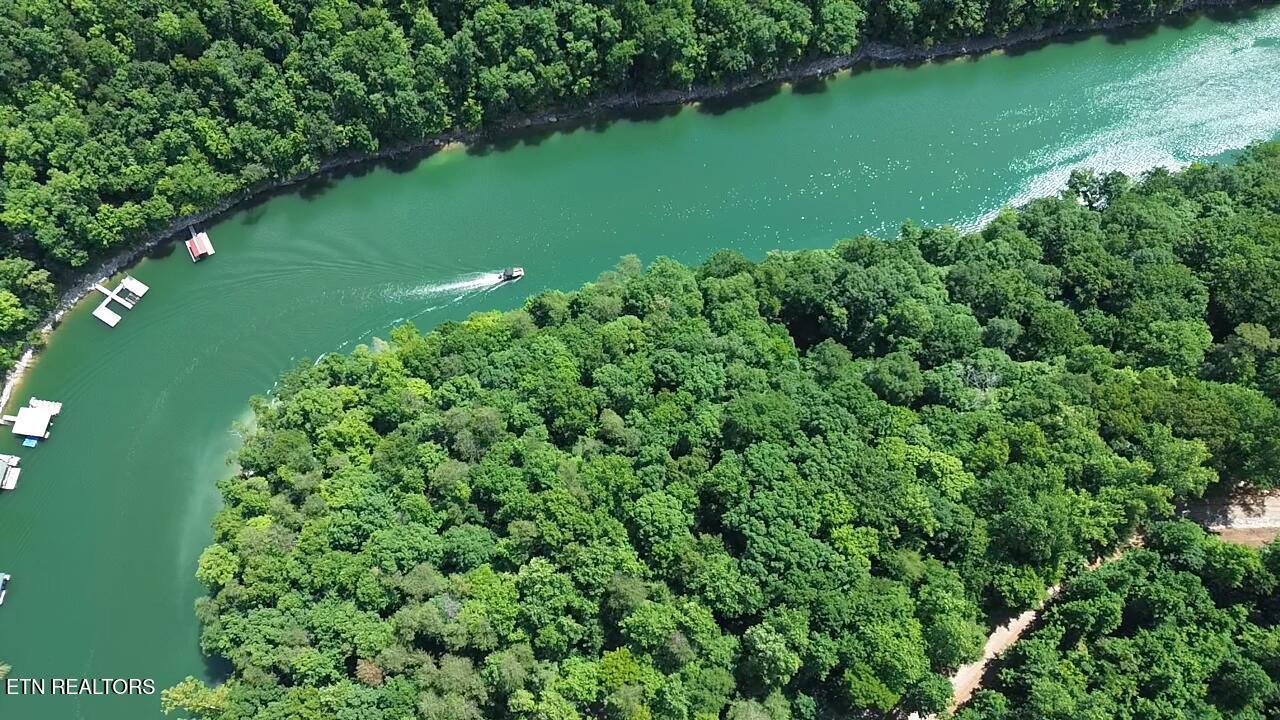 Norris Lake Real Estate - Image# 1