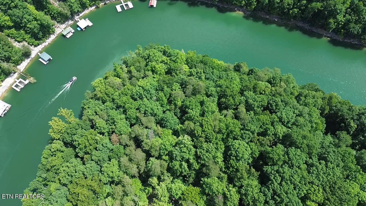 Norris Lake Real Estate - Image# 2