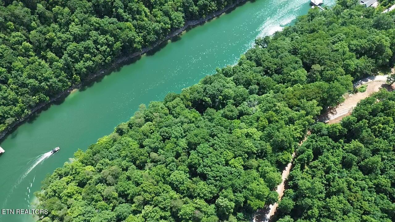 Norris Lake Real Estate - Image# 3