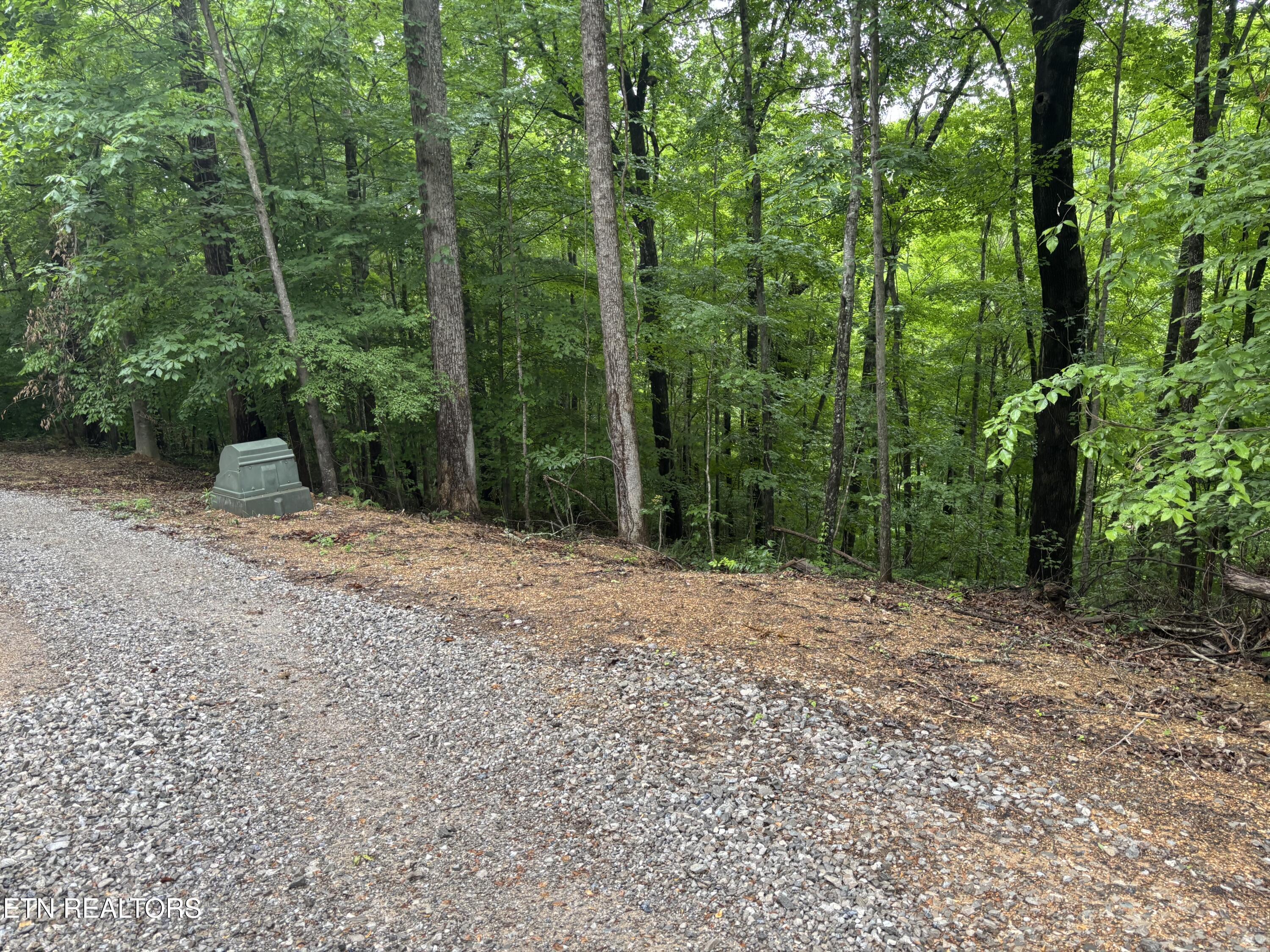 Norris Lake Real Estate - Image# 8