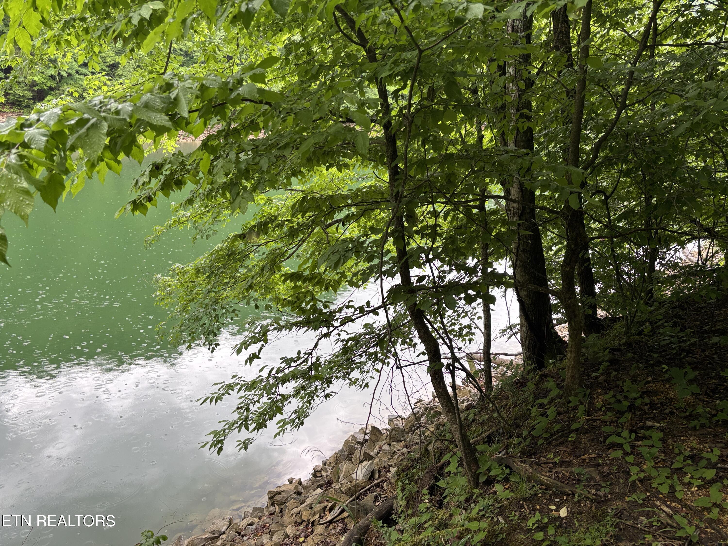 Norris Lake Real Estate - Image# 4