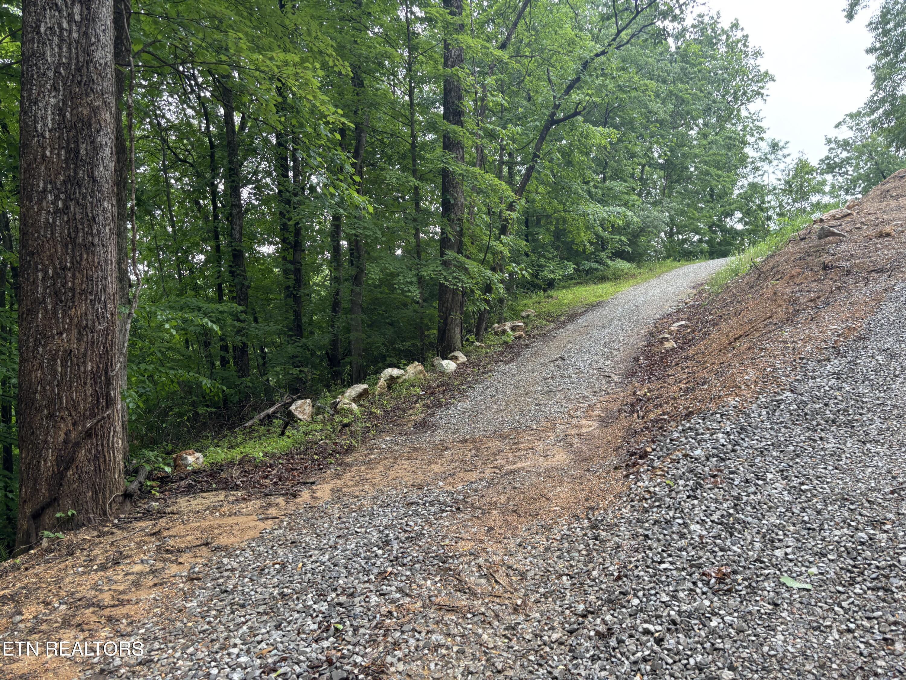 Norris Lake Real Estate - Image# 7