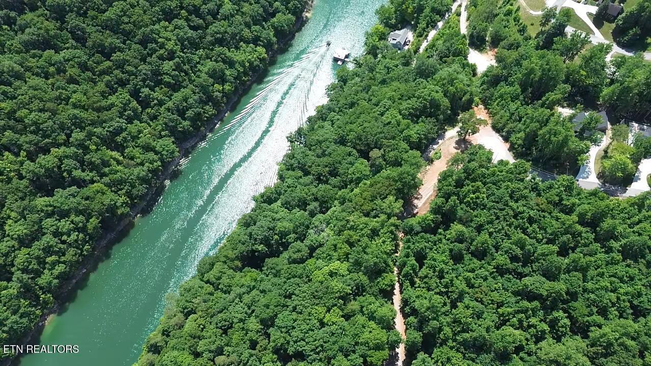 Norris Lake Real Estate - Image# 1