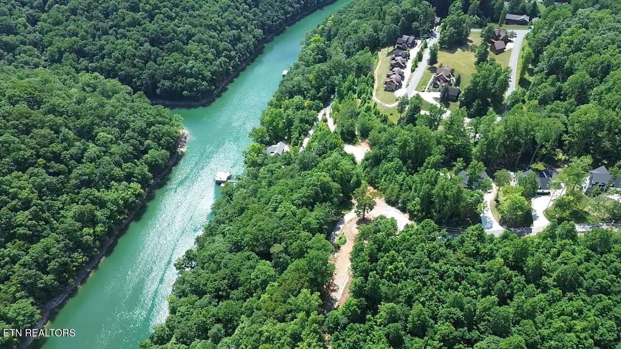 Norris Lake Real Estate - Image# 2