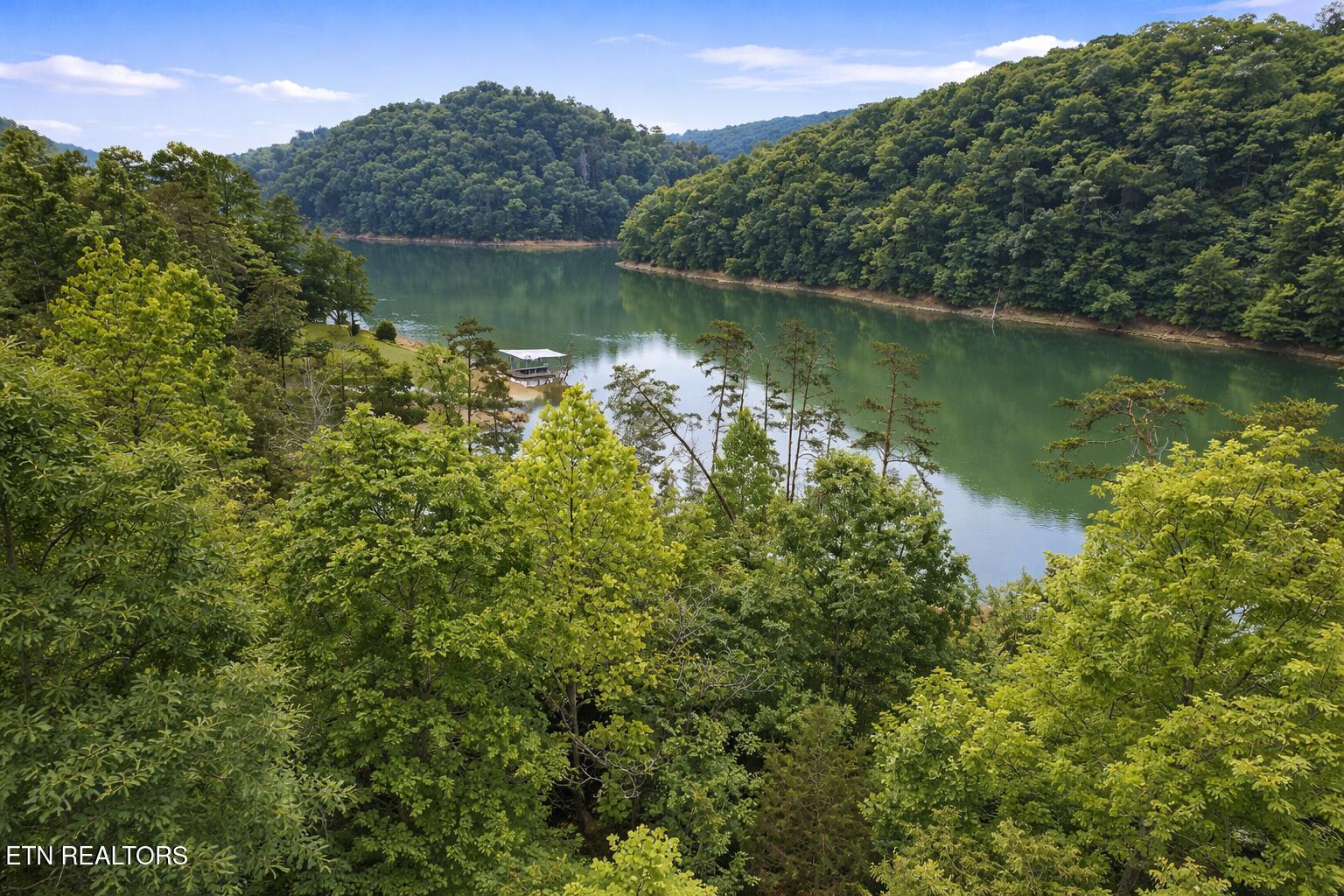 Norris Lake Real Estate - Image# 9
