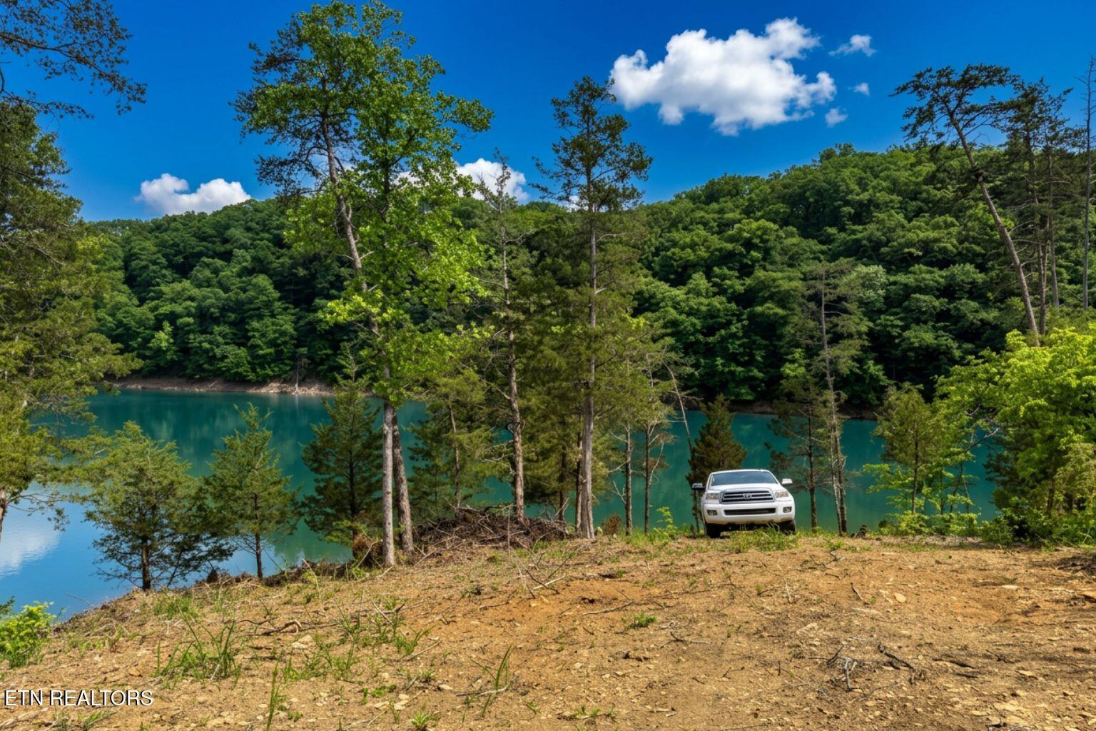 Norris Lake Real Estate - Image# 6