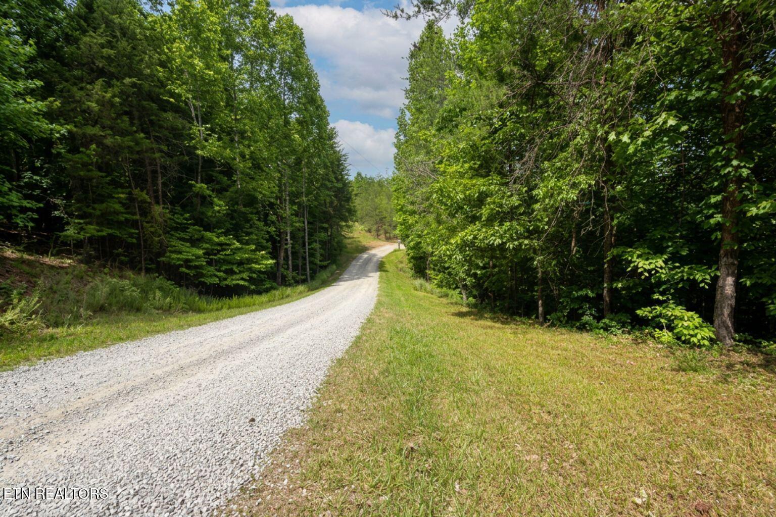 Norris Lake Real Estate - Image# 19
