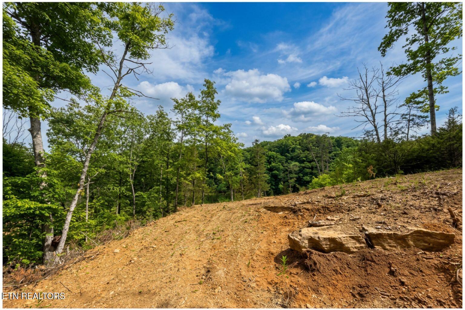 Norris Lake Real Estate - Image# 21