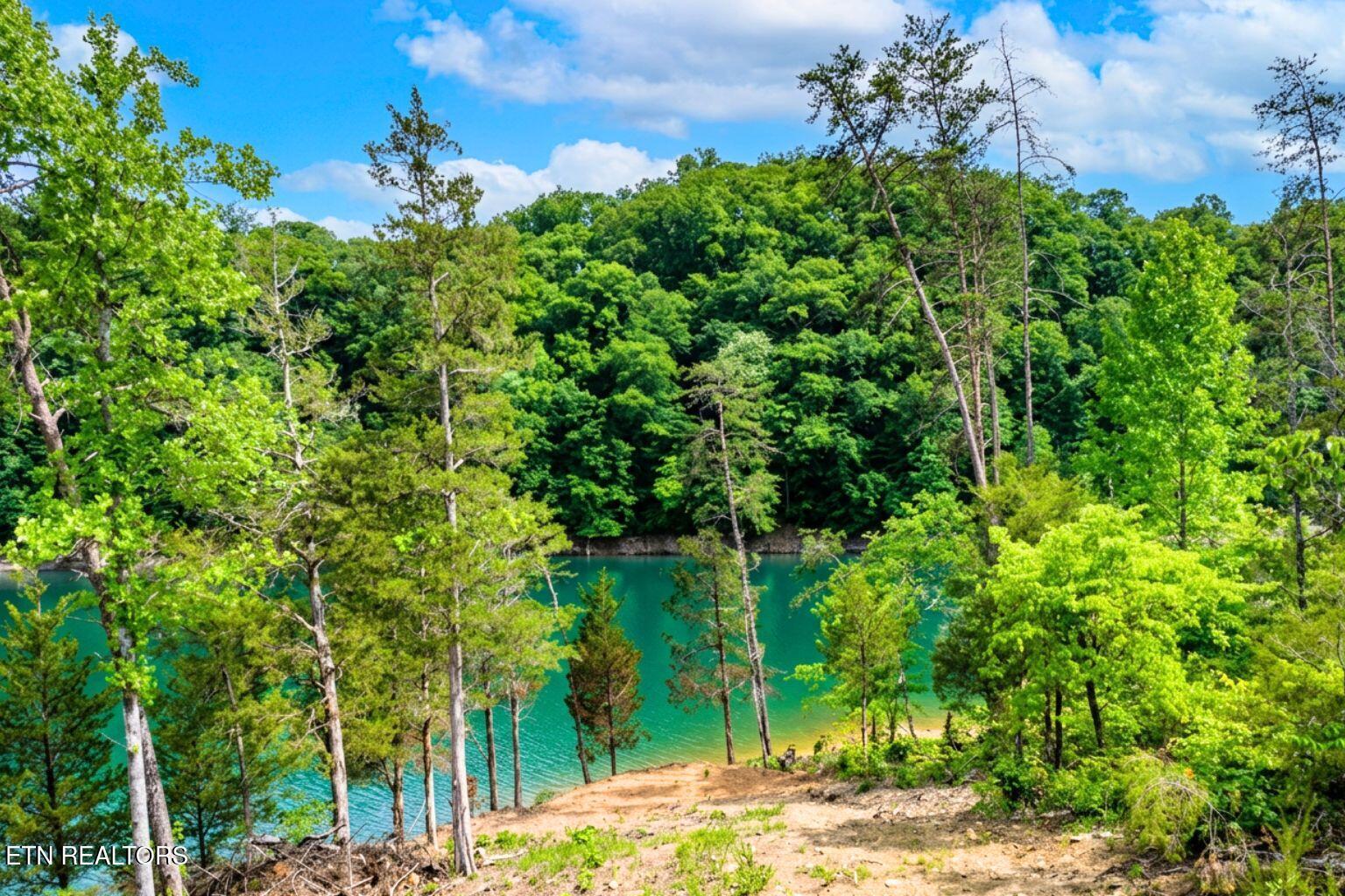 Norris Lake Real Estate - Image# 5