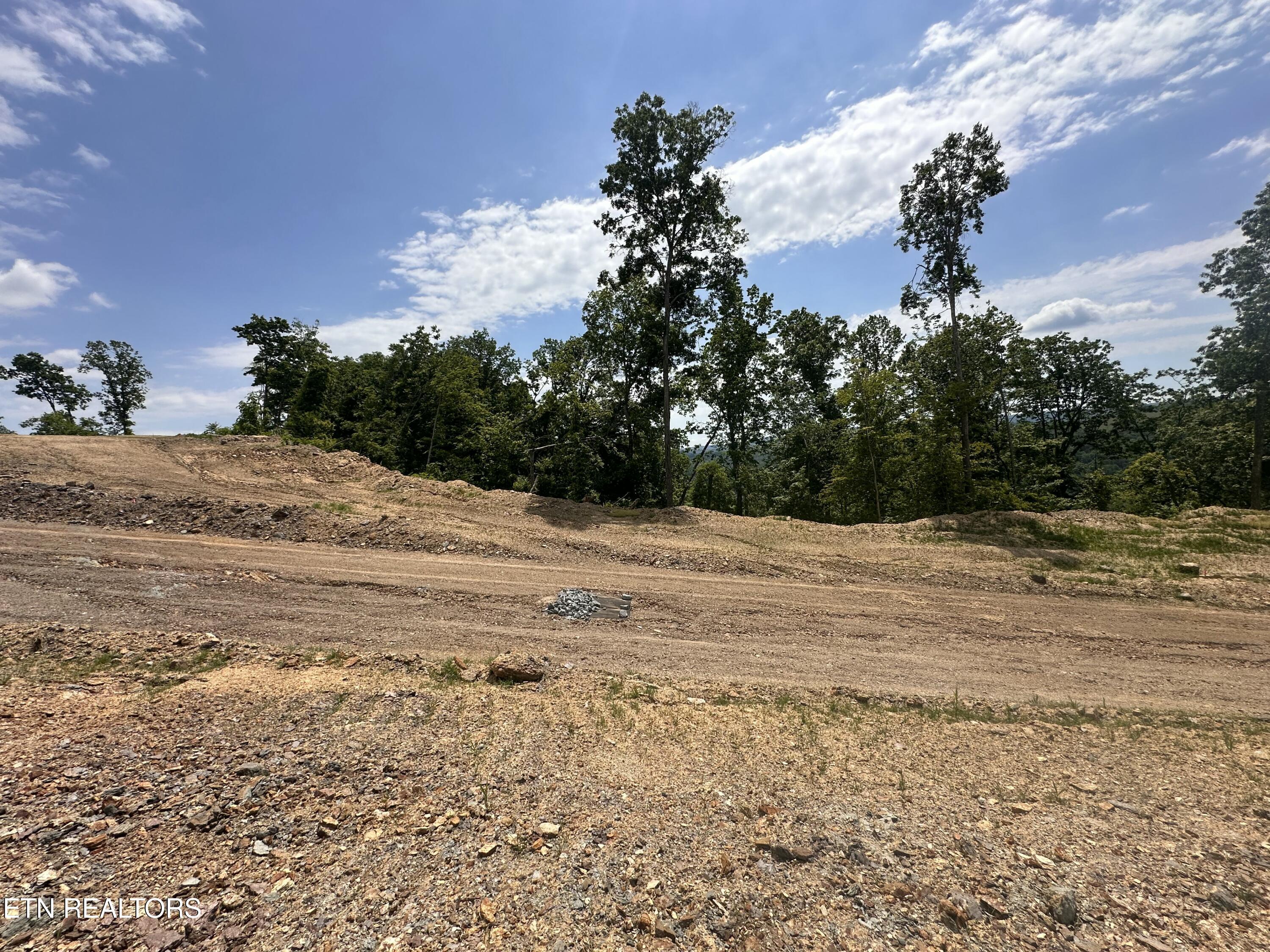 Norris Lake Real Estate - Image# 1