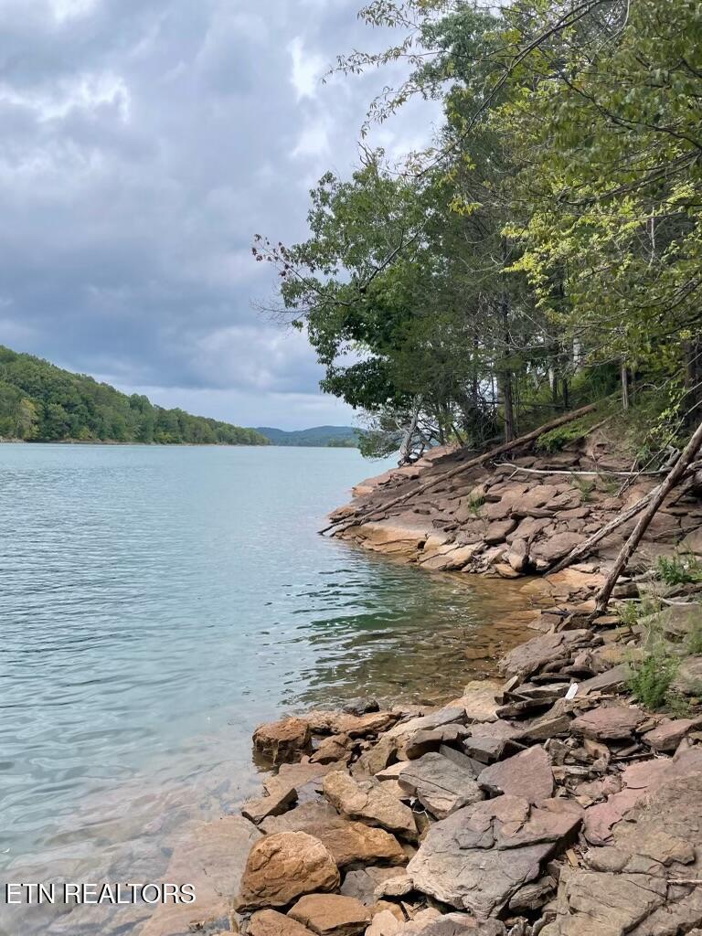 Norris Lake Real Estate - Image# 1