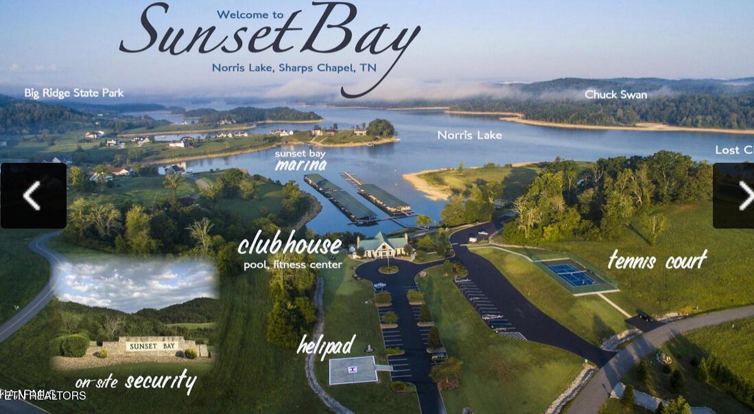 Norris Lake Real Estate - Image# 6