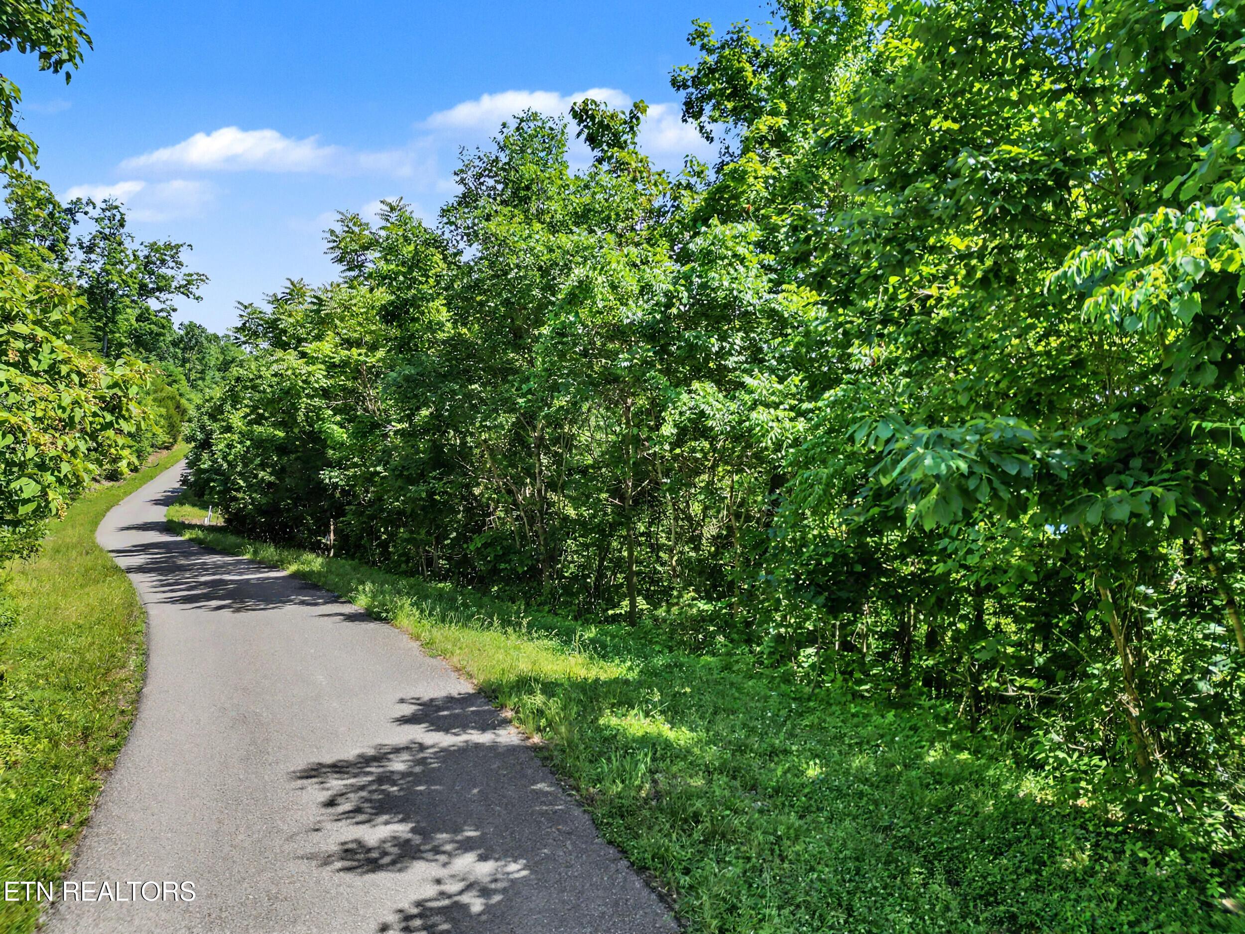 Norris Lake Real Estate - Image# 8