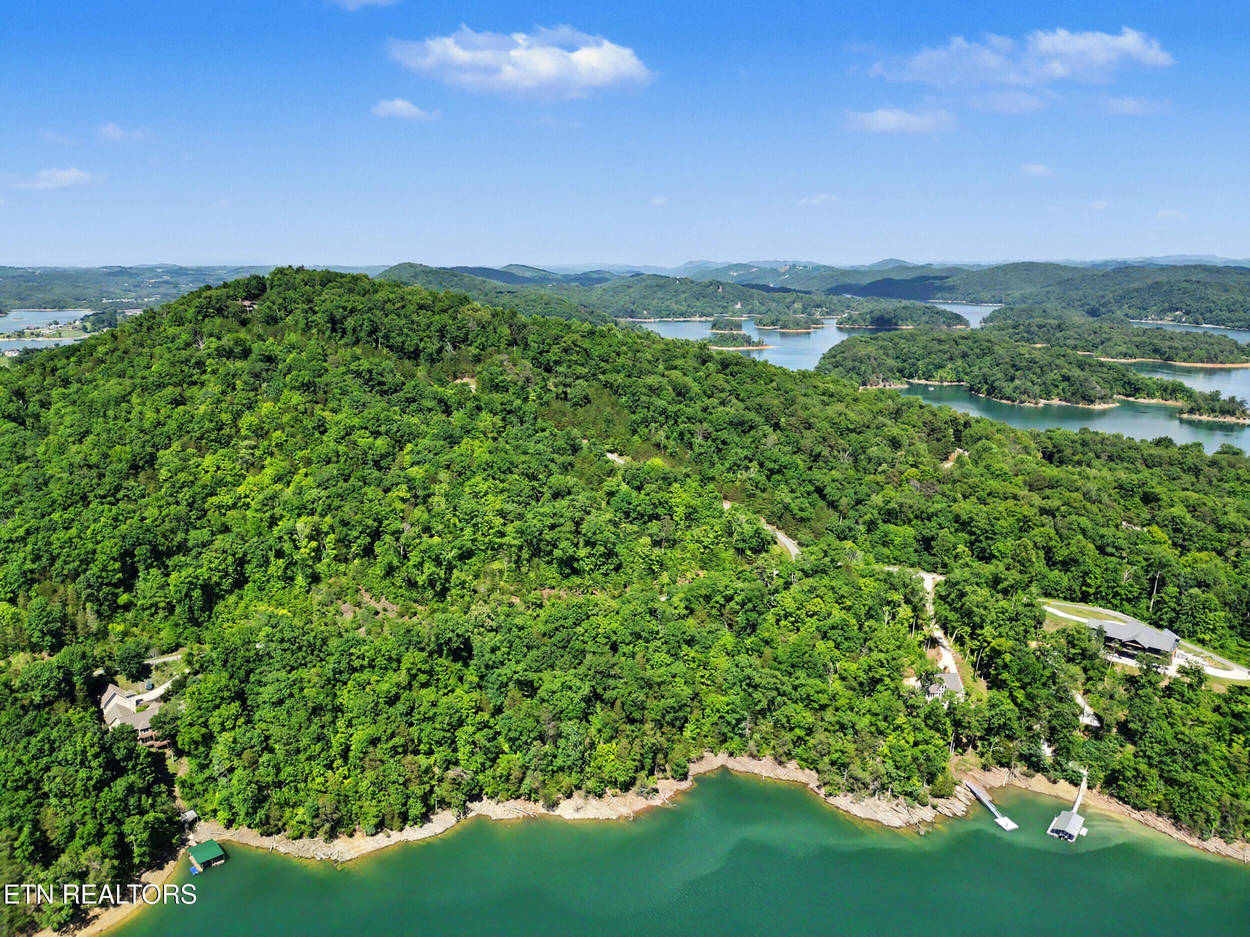 Norris Lake Real Estate - Image# 13