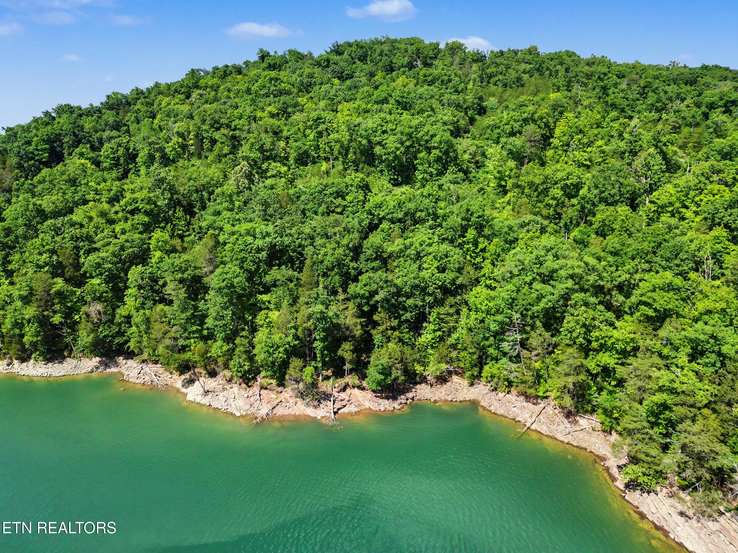Norris Lake Real Estate - Image# 16