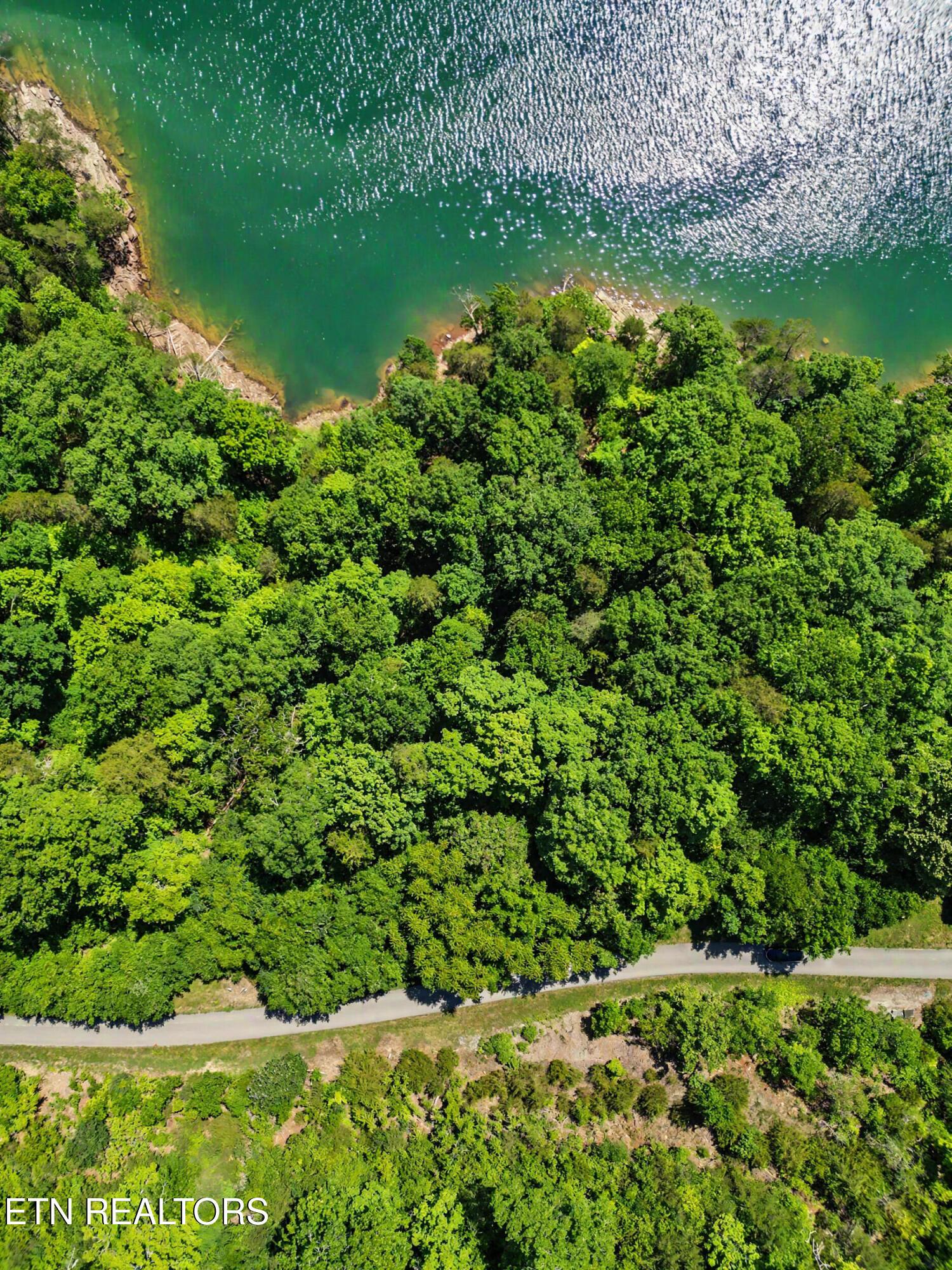 Norris Lake Real Estate - Image# 9