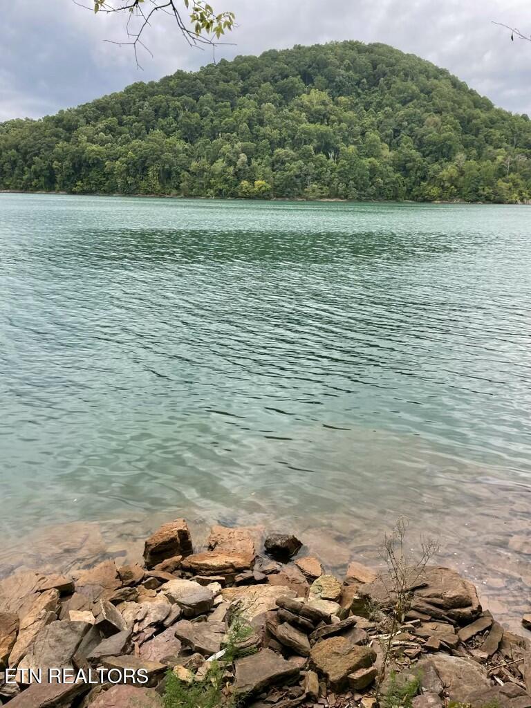 Norris Lake Real Estate - Image# 3