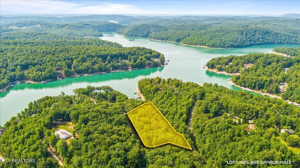 Norris Lake Real Estate - Image# 1