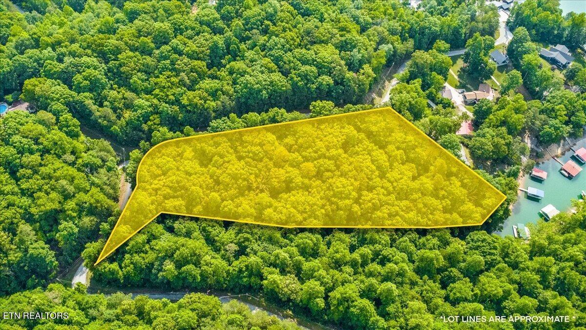 Norris Lake Real Estate - Image# 2