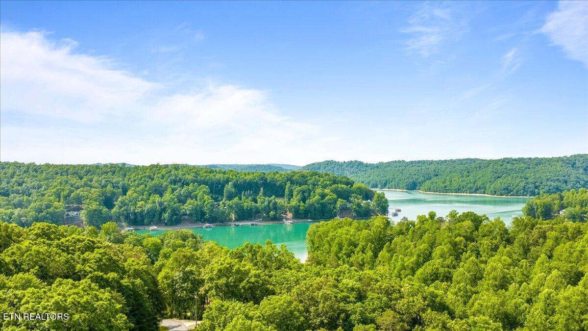 Norris Lake Real Estate - Image# 3