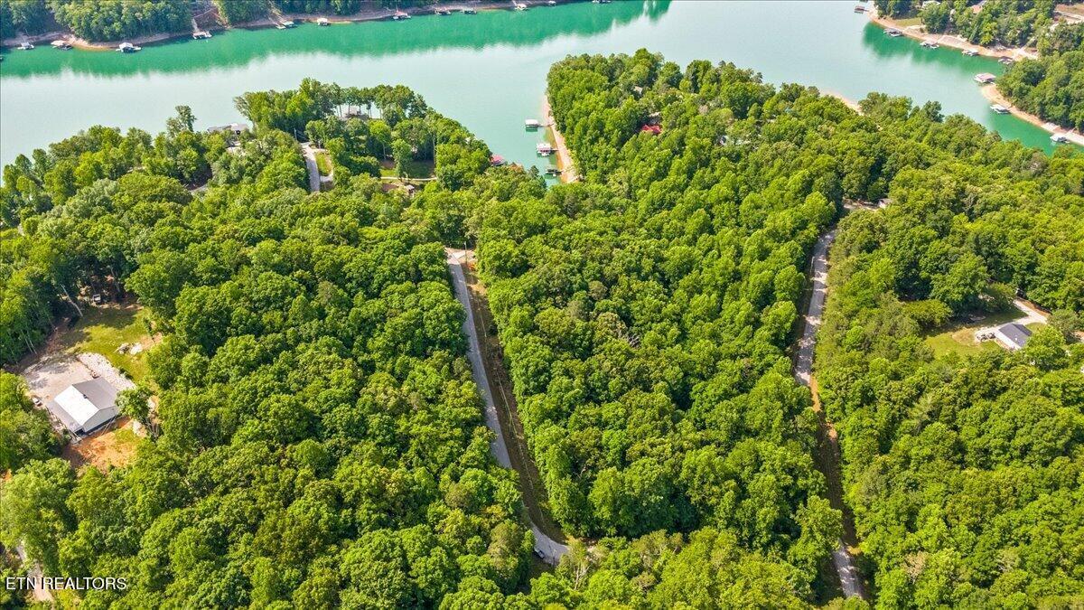 Norris Lake Real Estate - Image# 4