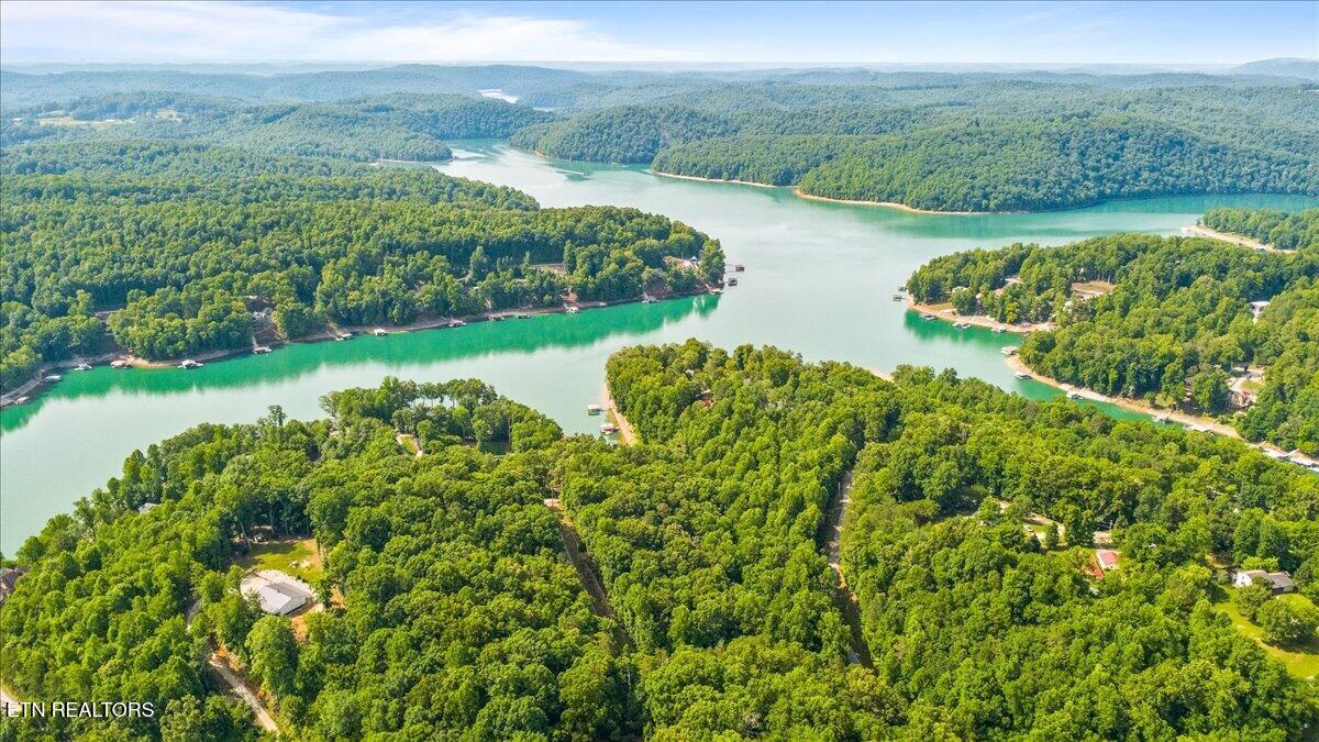 Norris Lake Real Estate - Image# 5