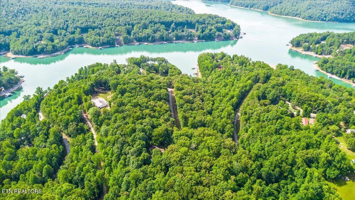 Norris Lake Real Estate - Image# 6