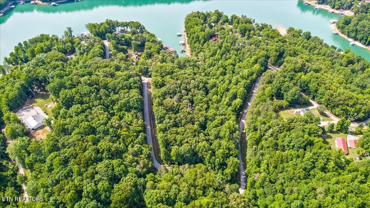 Norris Lake Real Estate - Image# 7