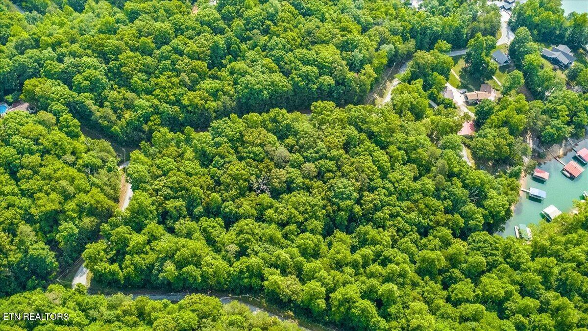 Norris Lake Real Estate - Image# 8