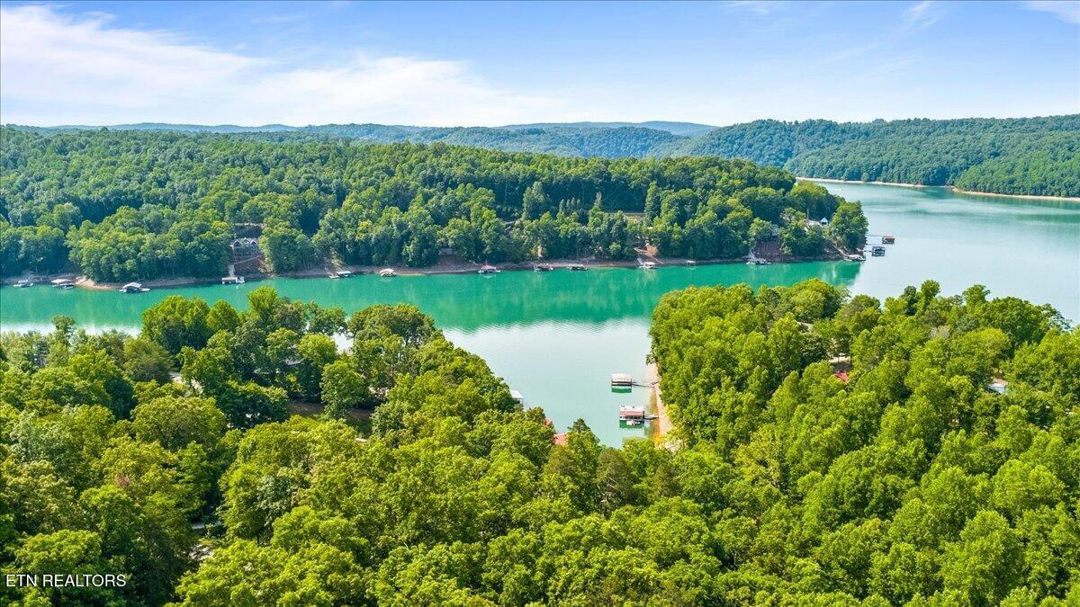 Norris Lake Real Estate - Image# 9
